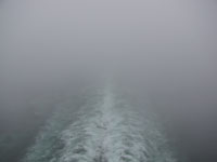 akcruise 415fog.jpg